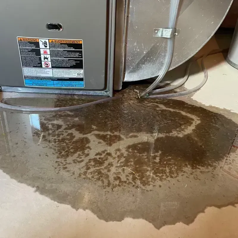 Appliance Leak Cleanup in Sun City Center, FL